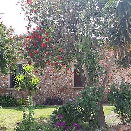 Agriturismo Pingitore Luzzi Buitenkant foto