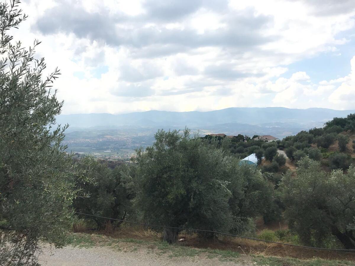 Agriturismo Pingitore Luzzi Buitenkant foto