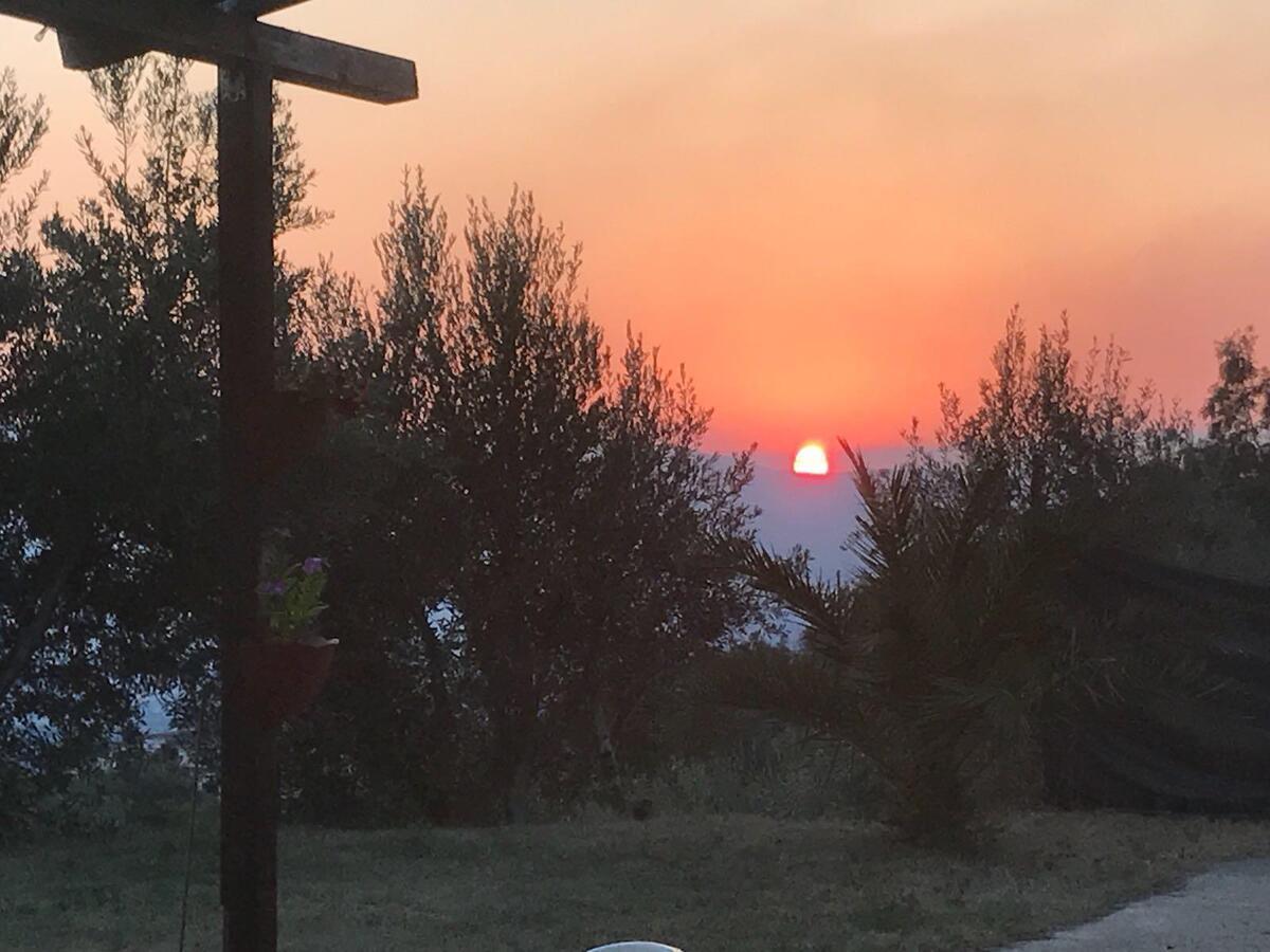 Agriturismo Pingitore Luzzi Buitenkant foto