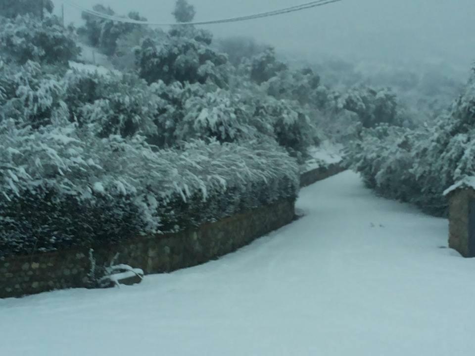 Agriturismo Pingitore Luzzi Buitenkant foto