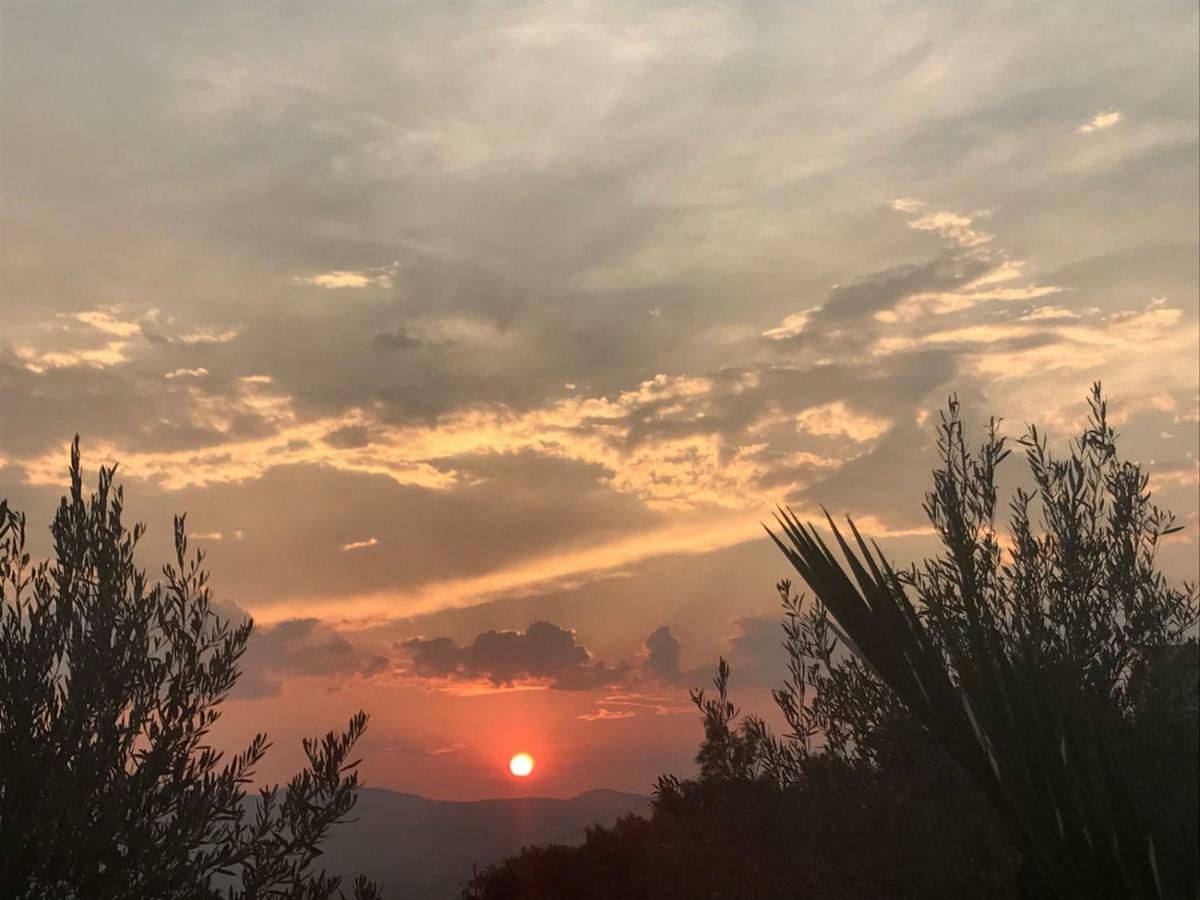 Agriturismo Pingitore Luzzi Buitenkant foto